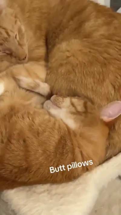 Butt Pillows