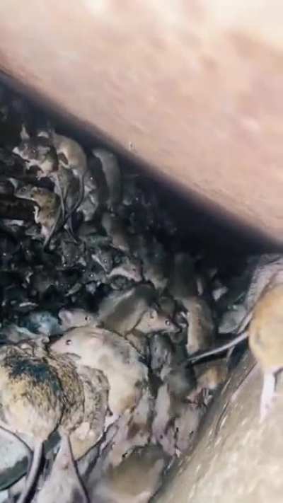 Не забудте включ<wbr>ить звук