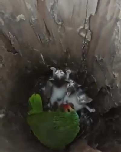 Maybe Maybe Maybe
