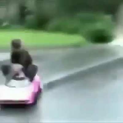 Fiauuuu...