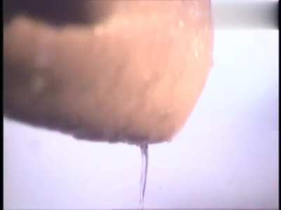 Katya Santos In Wet, Wild & Kinky
