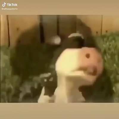 :c