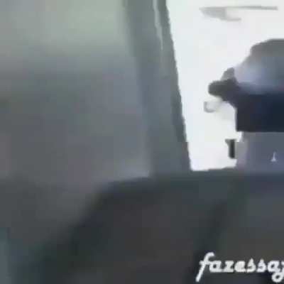 Mister músculo