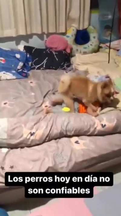 What would you do in this situation?