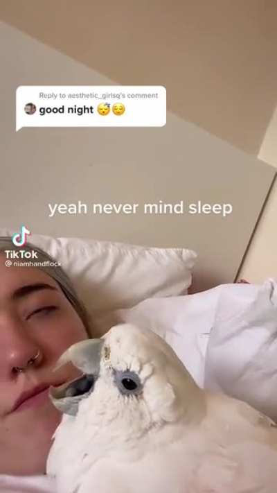 Does this count? (Sorry if repost)