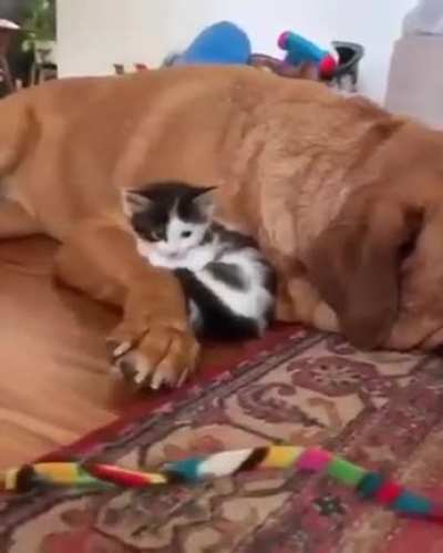 Nap time