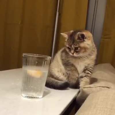 Touch tha Lemon