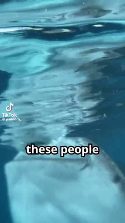 Oh my fucking god