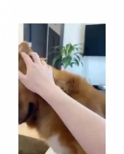 0:29 Needy Coworker