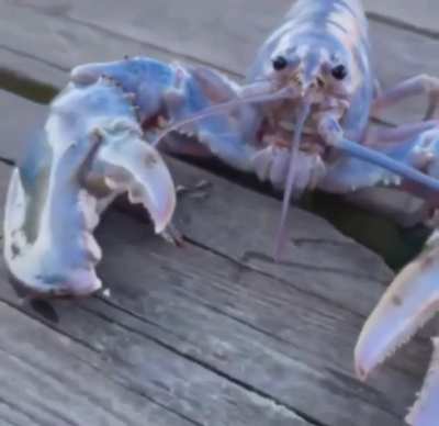 HOLY FUCKINJ SHIT HOLY FUCK OH SHIT OH GOD FUCK MOTHERFUCKER SHIT FUCJ UDKGZSJJ HMM FHCJFUDHIXGKXDUSEEAT