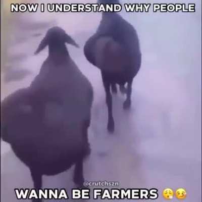 ð¥µ