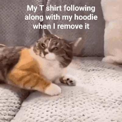 Meirl
