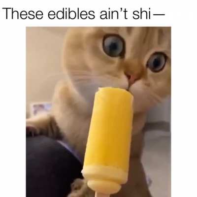 big lick energy