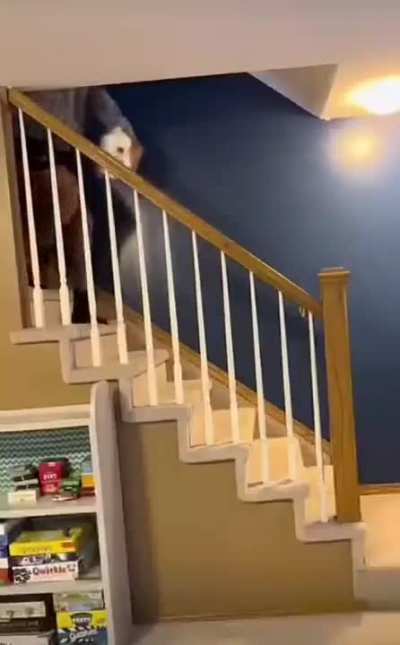 ð¥