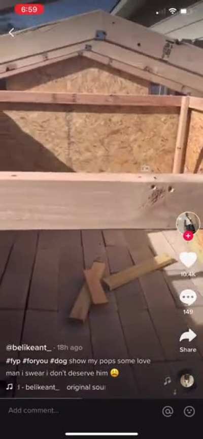 My dad built a dog house for the pupper