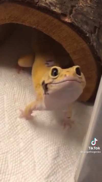 Look at the duuude
