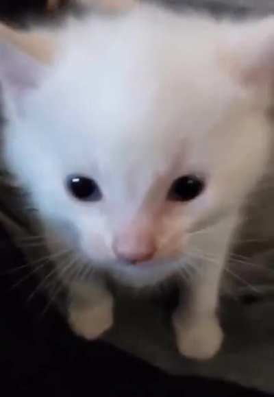 i̷̟̲͇̪͐̽̑̿̆̄̚͜i̶͖̤̟̙͓̦͂̒͑̏̊͌̀̃̈͜͝į̵̬͇̼̠̱̜̫͓̾̀̊̇̉̇͝i̷̡̤̞̫͌͂̔̈́̀̍̃͠͝i̵̢̡͍̜͕̗̩̜̒͛̍͋͛͝ :)