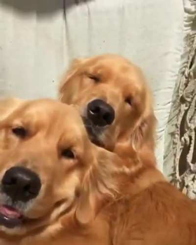 So much happiness