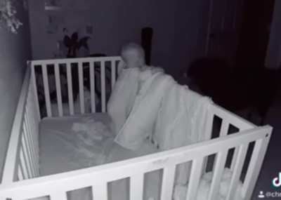 Dog checks on the baby human every night.