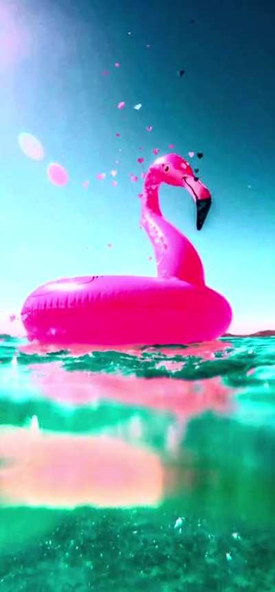 Summer