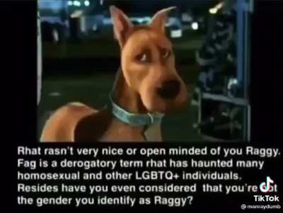 Ruh Roh raggy