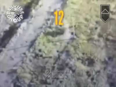 Destruction of 16 occupiers by FPV drones 🇺🇦 