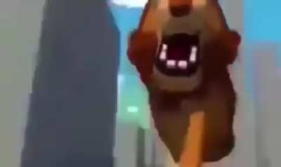 lion