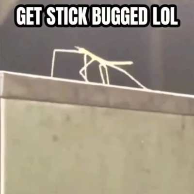 Segoe UI FTW