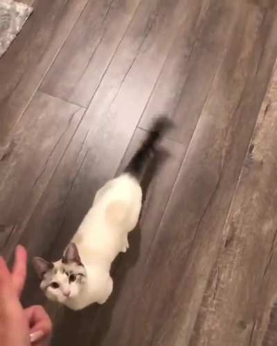 Guess I'm dead now.