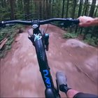 Woodland ripping