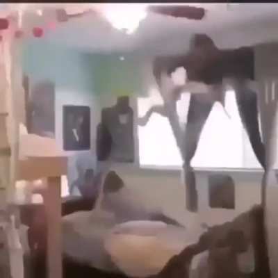 Xd