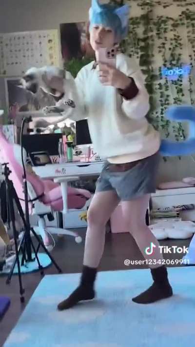 😼