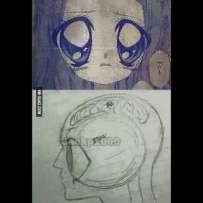 Muchas imágenes