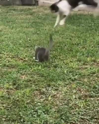Listen here you little shit