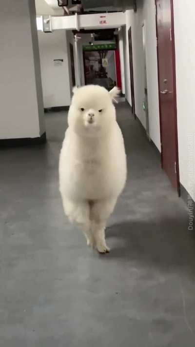 Attitude cloud