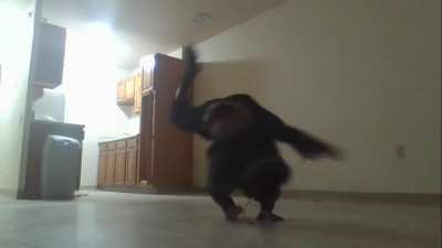 My windmill/Handstandmill 50 sec vid