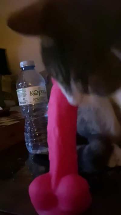 I kinda feel guilty that I didn't blur his face...