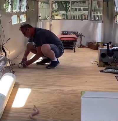 Perfect reaction to a toy snake