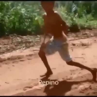 Pepino 