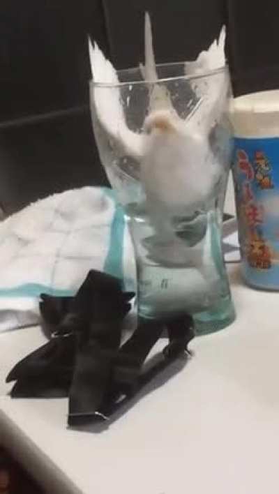 Maybe Maybe Maybe