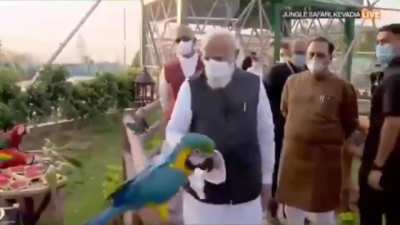 Oh ho TotaJi Full on ramdibaaji