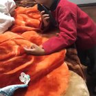 Let the kid play