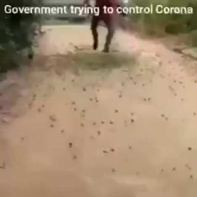 Governments trying to to control Corona