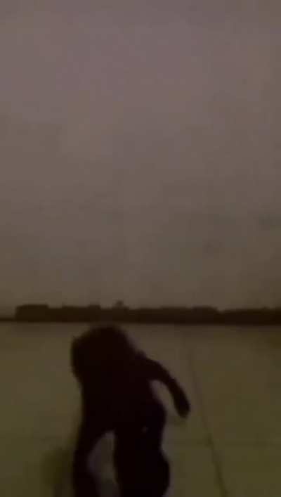 cursed_black fall