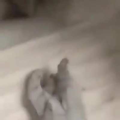 Mano é um gato com a voz do CJ,da upvote filho da puta