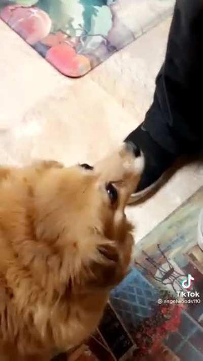 nom nom nom