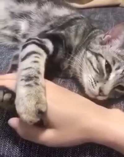 Don't leave me mama