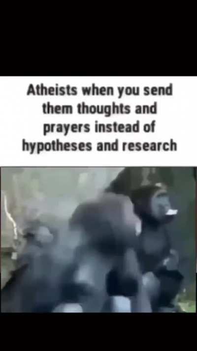 Nooooooooooo