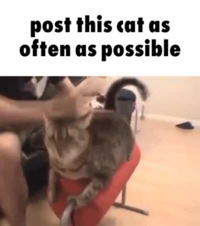 posting wunk