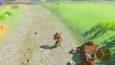 my horse died of a heart-attack.mp4